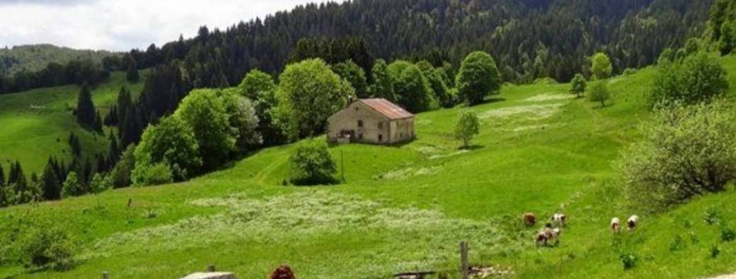 Médicinales et comestibles La Pesse stage immersif