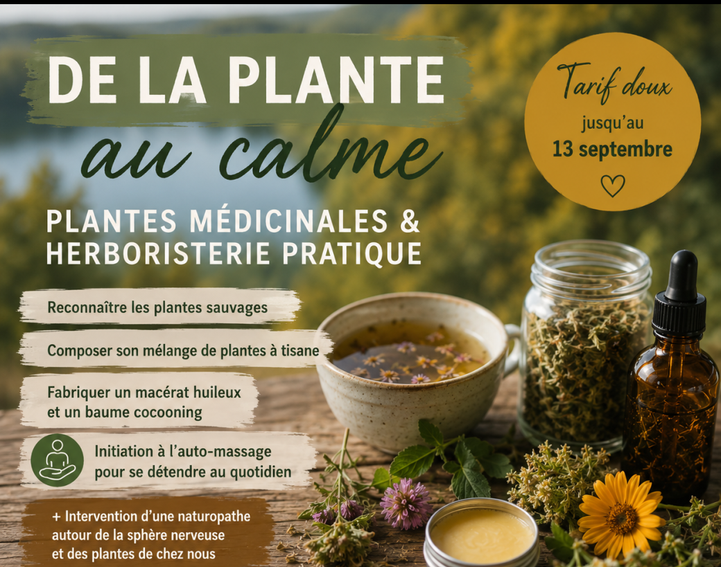 Plantes médicinales et herboristerie pratique – De la plante au calme