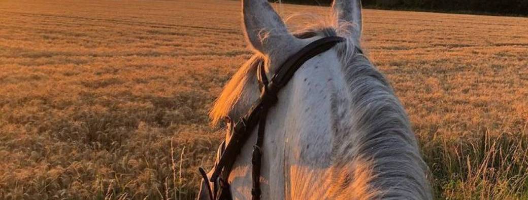 Balade à cheval & Dîner aux chandelles