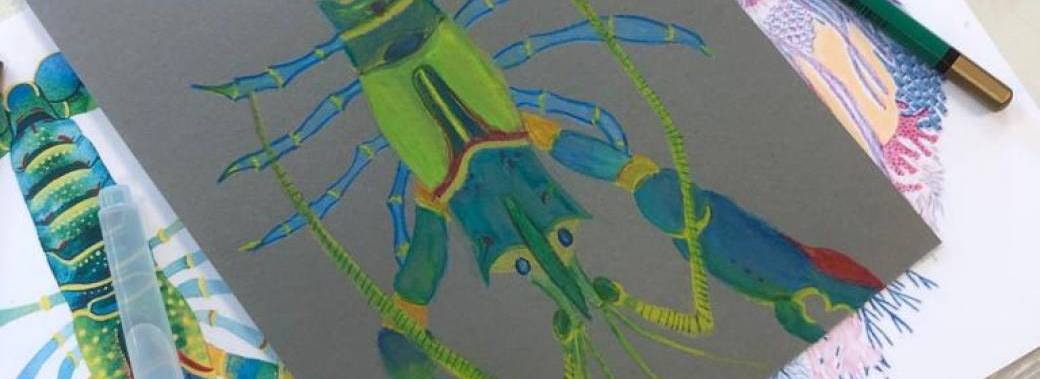 MERCREDI ADOS 17h 18h30- 2023 2024 MERCREDI ADOS 17h 18h30- 2023 2024