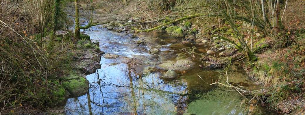 Les mercredis des marm'eau : La rivière du bout des doigts... Parent(s)/enfant(s) 3-5 ans