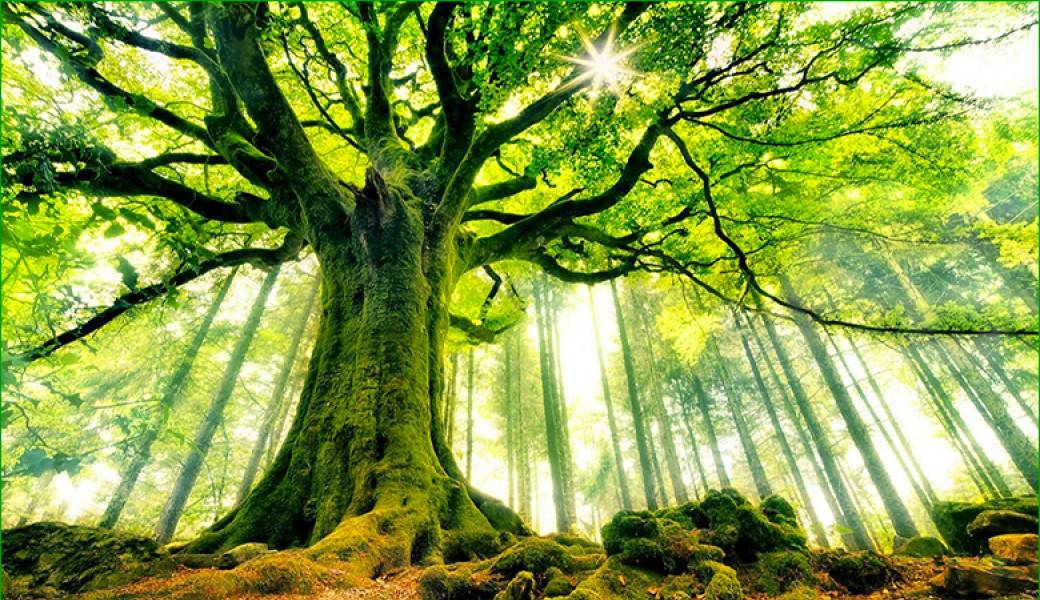 Mercredis Globaldetox en Isère