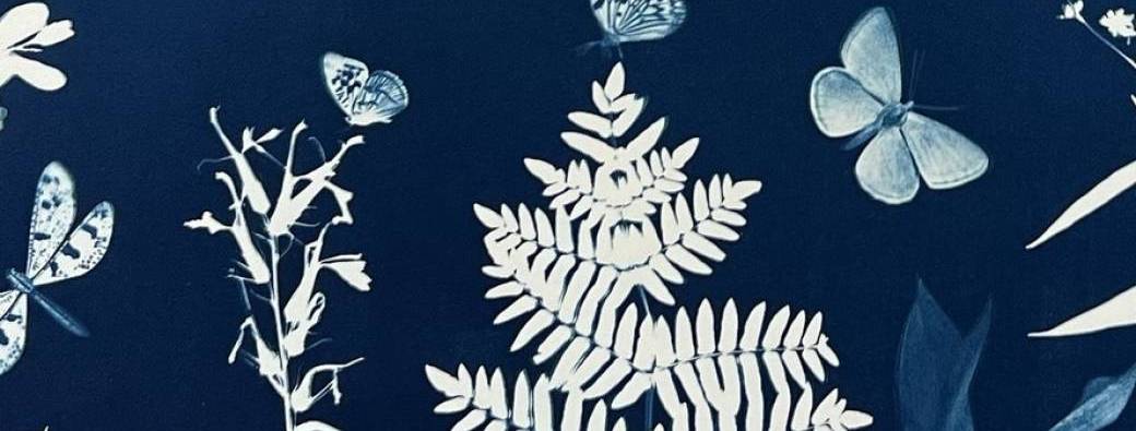 COMPLET Mercredis Nature Créative #3 Cyanotype nature