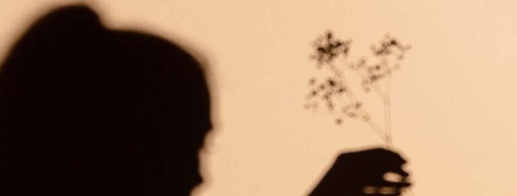 Mercredis Nature Créative #8 Théâtre d'ombres naturelles