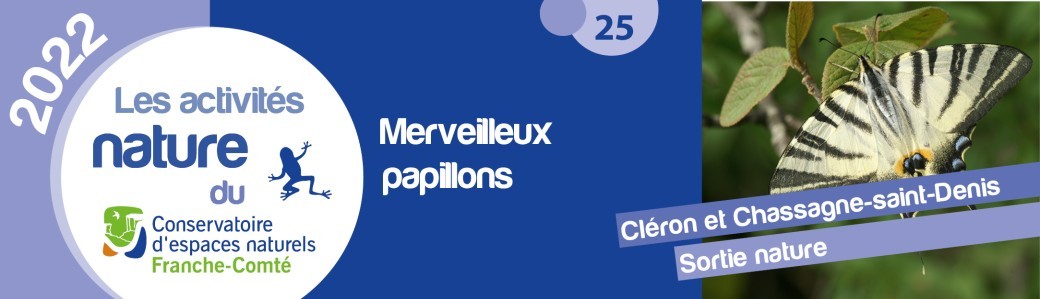 Merveilleux papillons