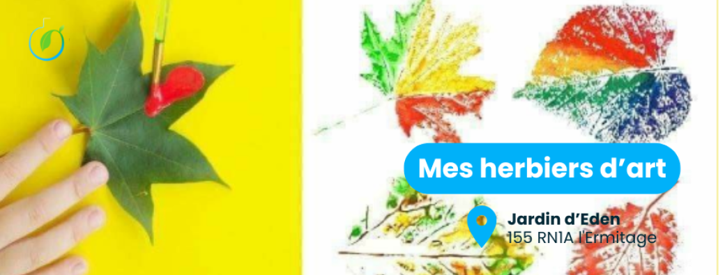 Mes herbiers d'art