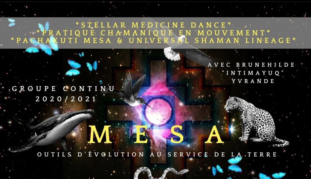 MESA*Roue de Médecine*Groupe Continu 2020/2021*