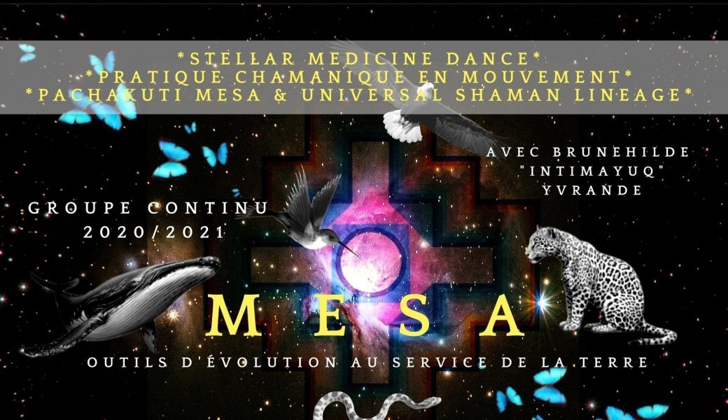 MESA*Roue de Médecine*Groupe Continu 2020/2021* MESA*Roue de Médecine*Groupe Continu 2020/2021*