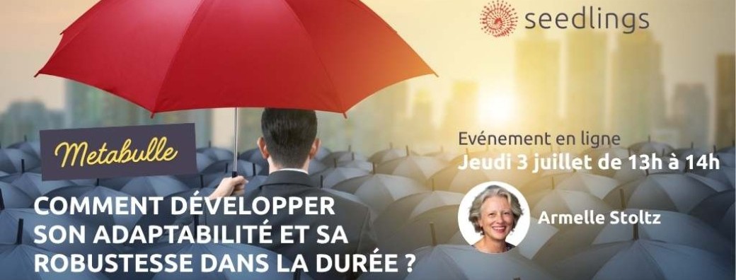 Leaders de la transformation : comment développer  son adaptabilité et sa robustesse dans la durée ?