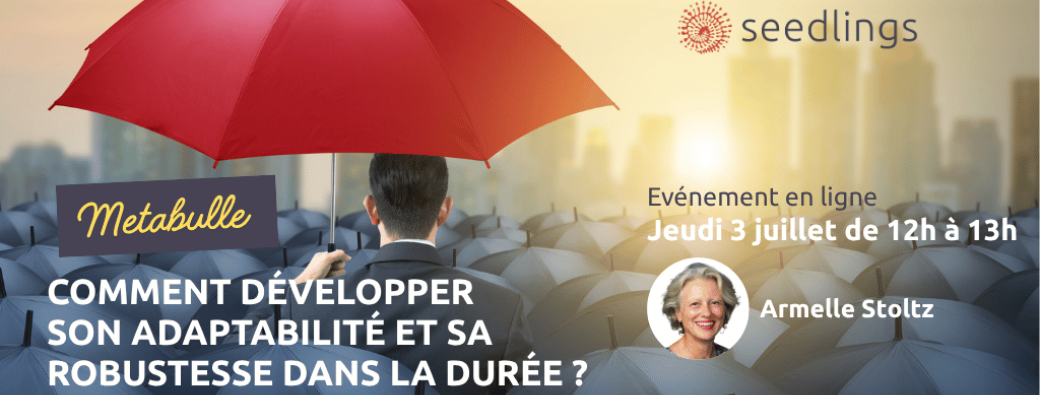 Leaders de la transformation : comment développer  son adaptabilité et sa robustesse dans la durée ?