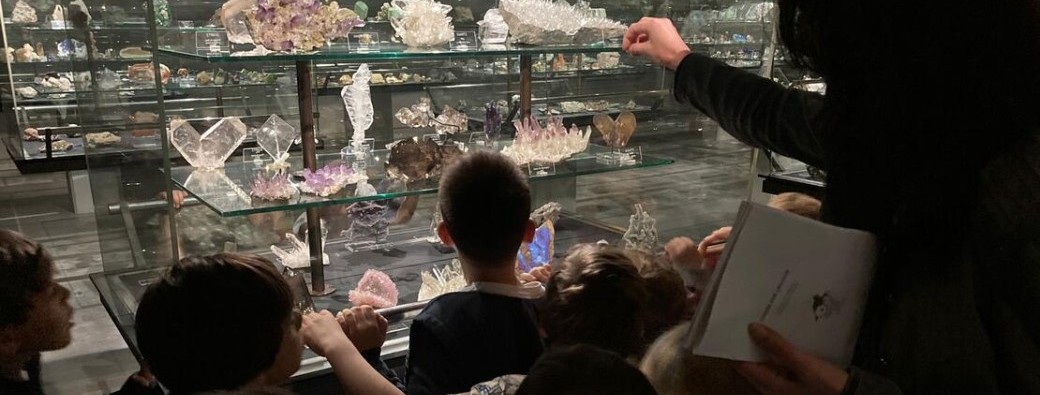 Visite de l'exposition "Métamorphoses minérales, ce que nous racontent les pierres"
