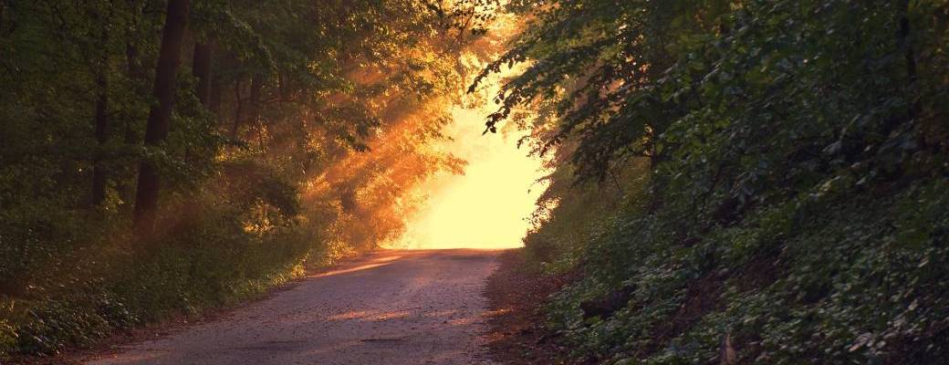 Michel Hocq Belgique