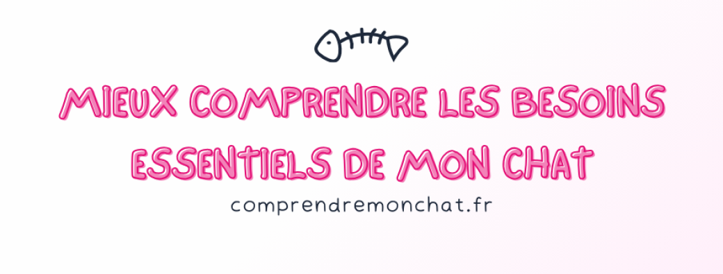 Mieux comprendre les besoins essentiels de mon chat