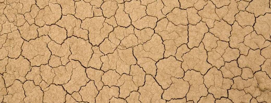 Mini-Artistes, éveil à l'argile ( 2 - 7 ans ) 