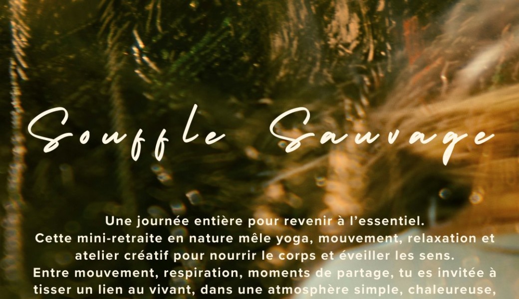 Mini Retraite : Souffle Sauvage