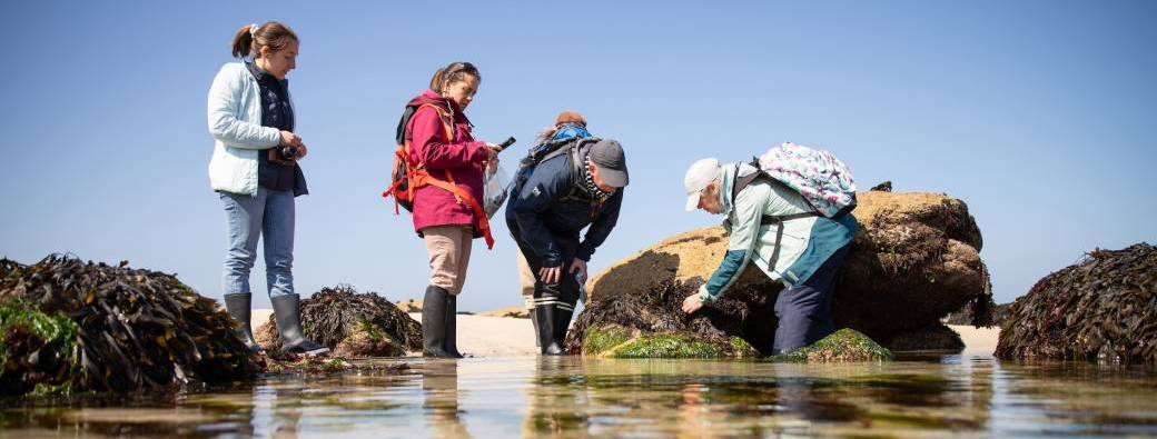 Mini-stage Algues à Meneham – Immersion iodée et gourmande