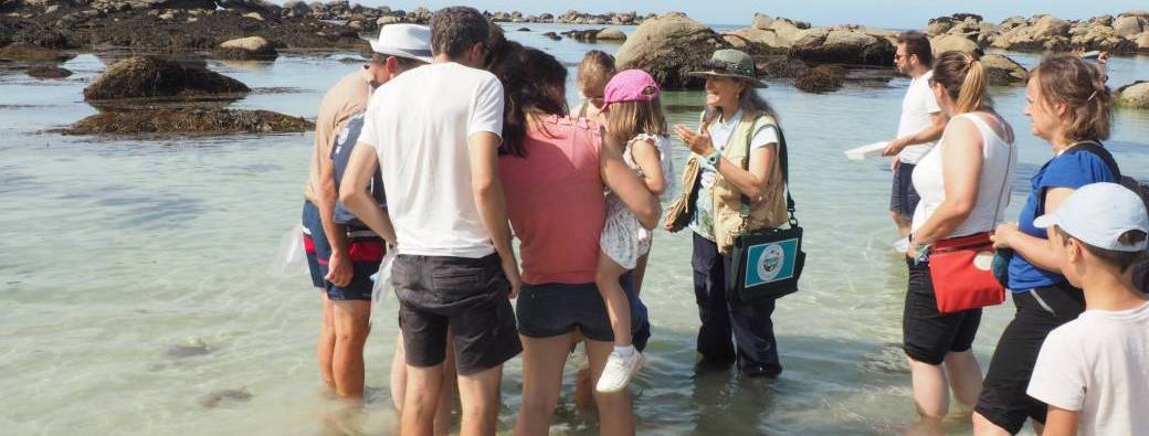 Mini-stage algues - Immersion iodée et gourmande