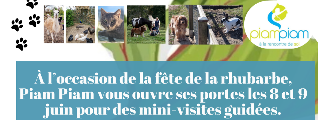Mini-Visites durant la fête de la rhubarbe