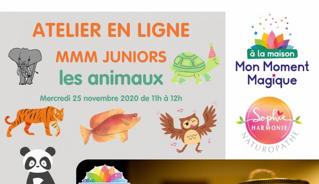 MMM Connecté - Juniors :  Les Animaux
