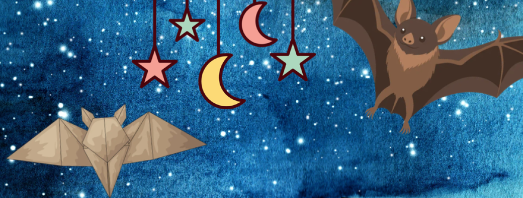 Mobile chauve-souris ! (7-13 ans)