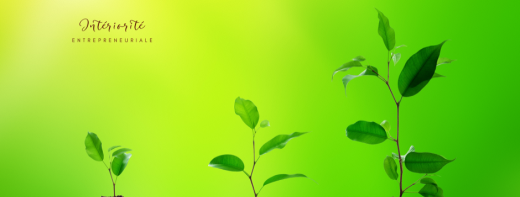 Mobilisez votre intelligence corporelle pour tendre vers une entreprise rentable - Atelier offert
