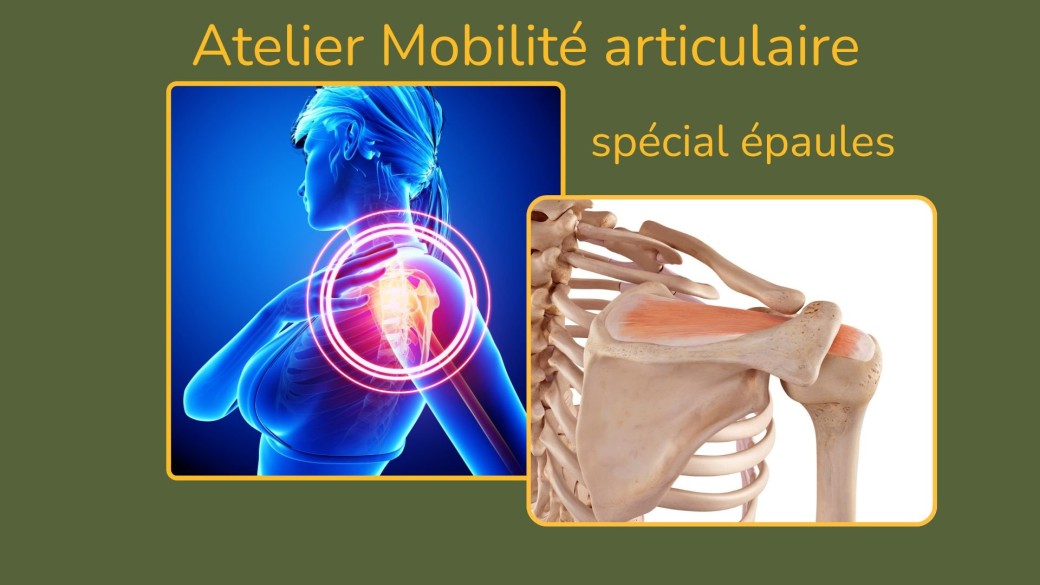 mobilité articulaire des épaules