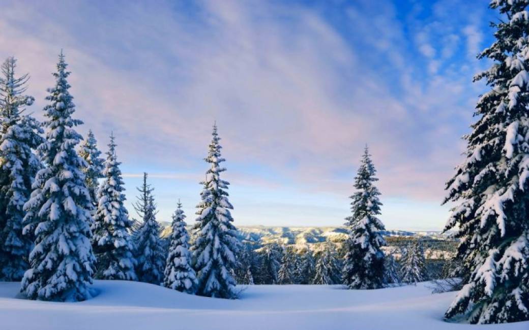Module de formation "Atelier d'hiver"