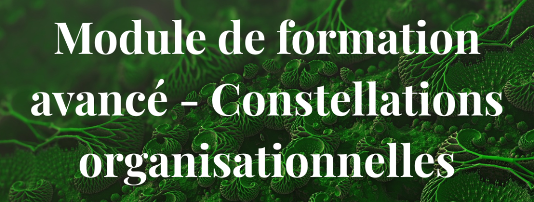Module de formation avancé - Constellations organisationnelles