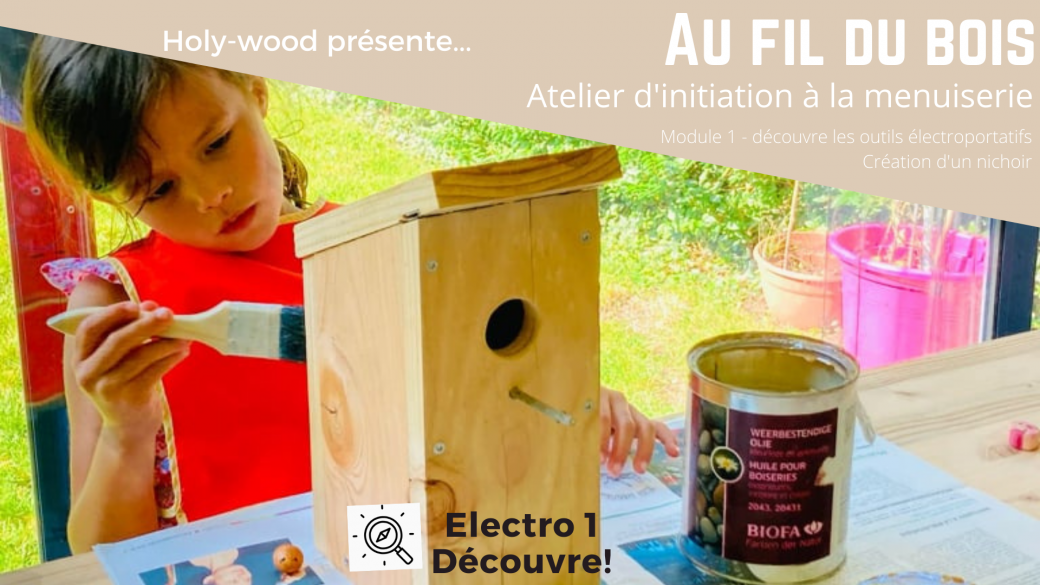 Module Electro 1 (découverte) : le nichoir