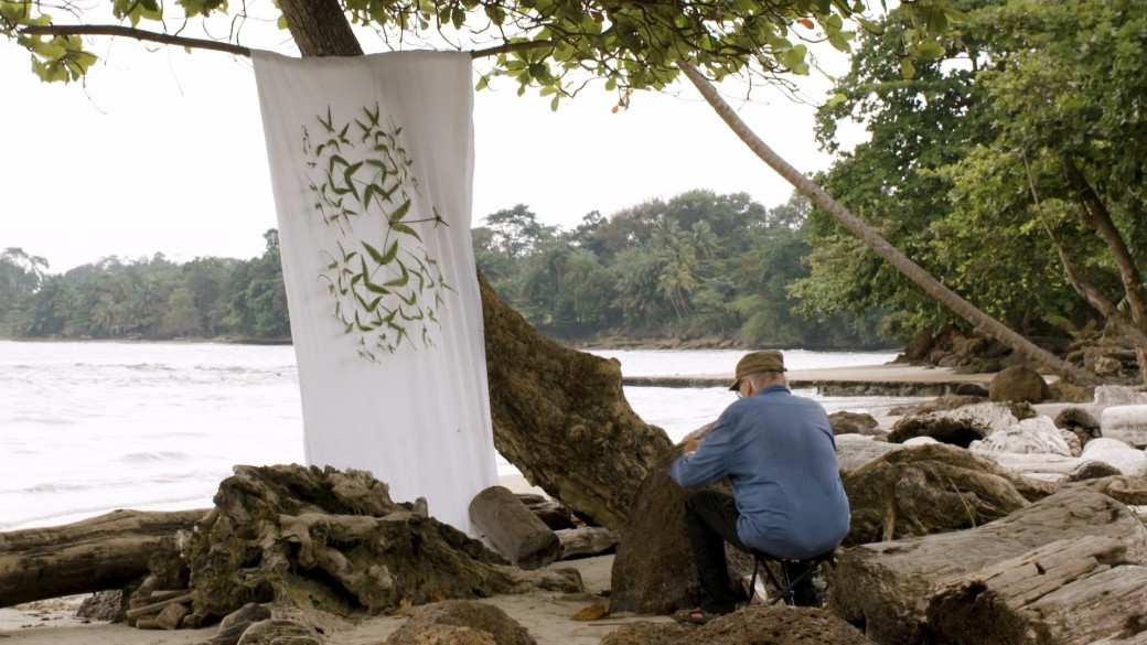 Mois du film documentaire - Une vie en forêt