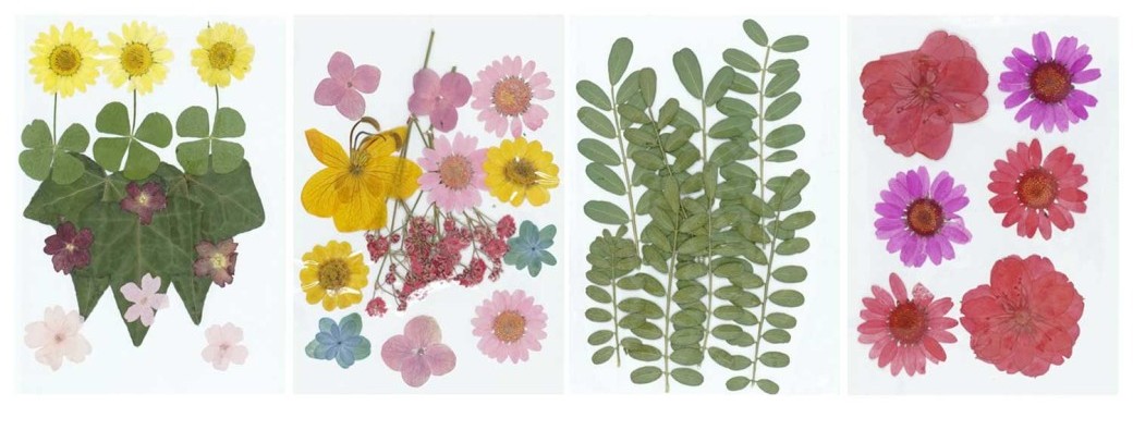 HERBIER : INITIALE FLEURIE - 6 ANS ET +