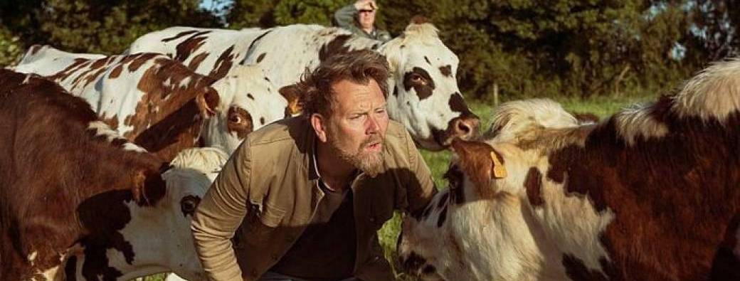 Mon père avait 3 vaches - Mouton Major 