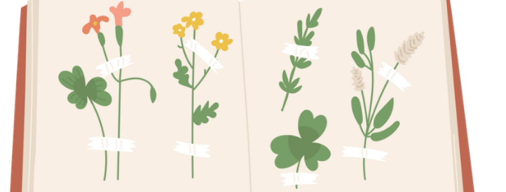 Mon premier herbier  (4-7 ans)