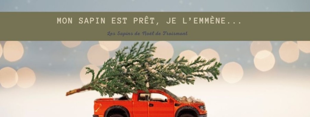Mon sapin est prêt! Je l'emmène.