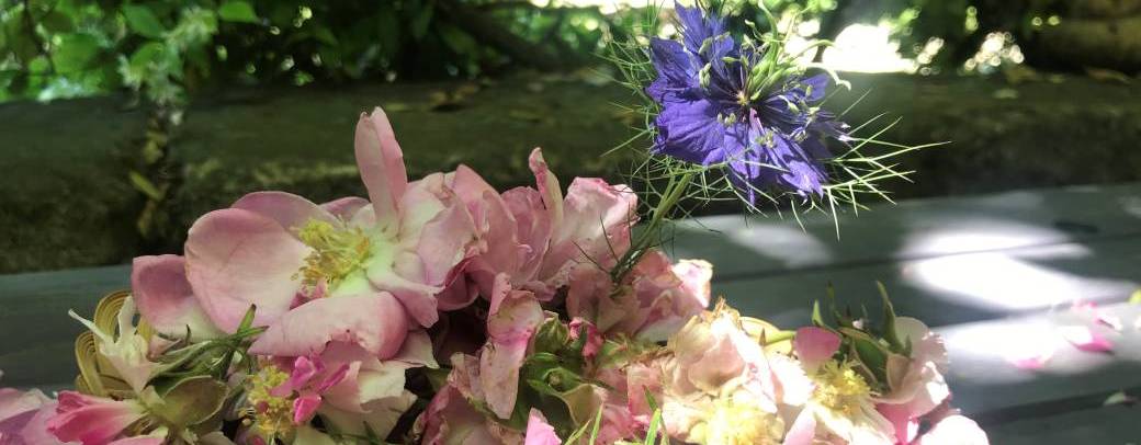 Mots Parleurs - Les plantes et l'amour - Aniane