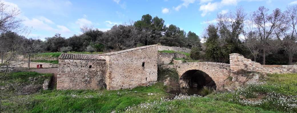 Les moulins à blé de Neffiès