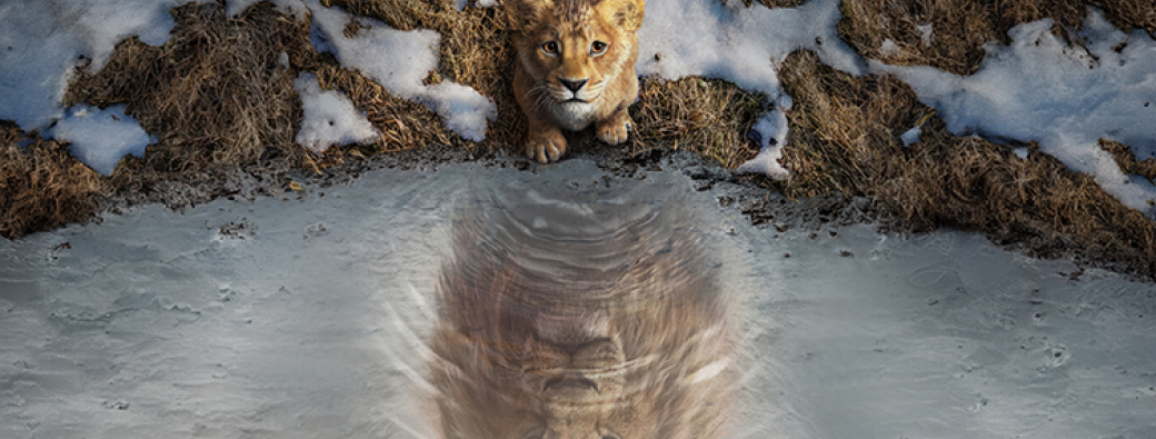 MUFASA -LE ROI LION.