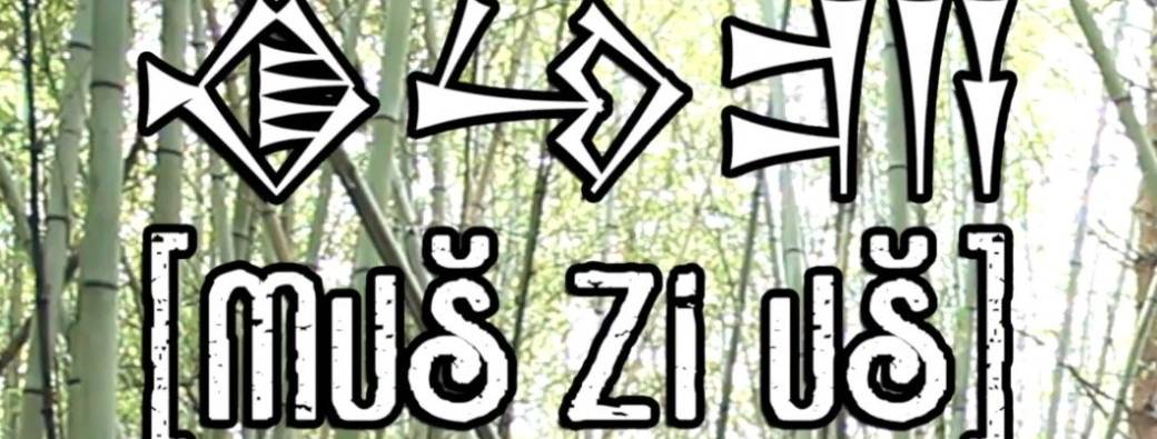 Mus Zi Us Voyage sonore et visuel 