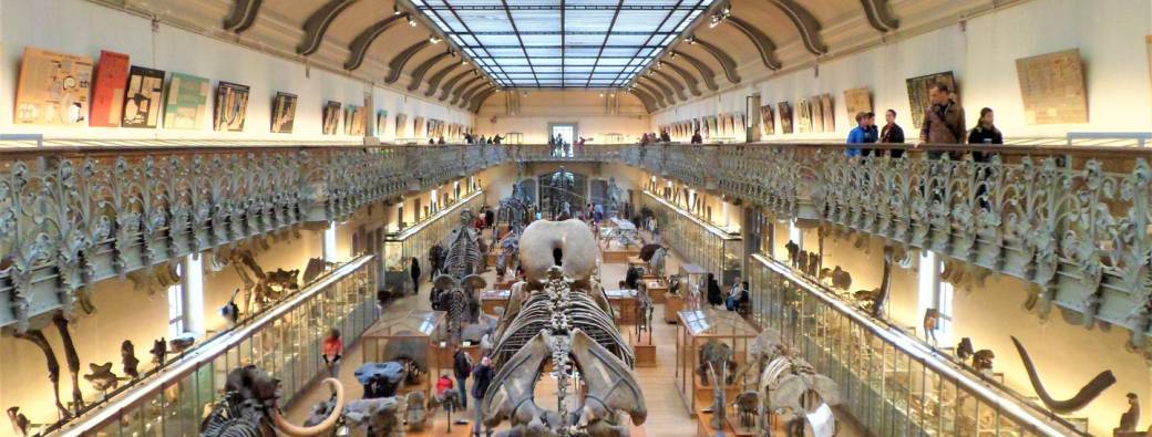Musée d'histoire naturel