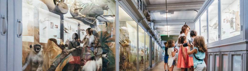 Muséum d'Histoire Naturelle