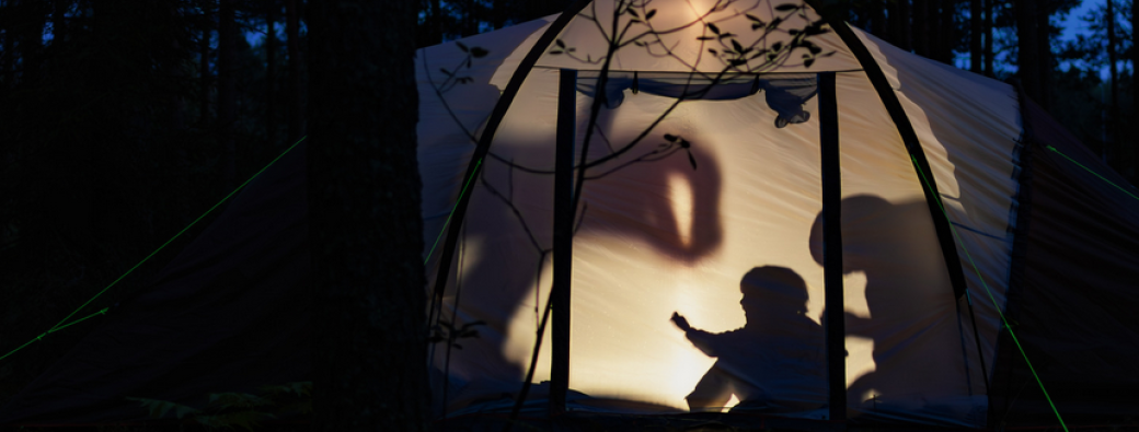 Histoires sauvages et théâtre d'ombres... 7-13 ans