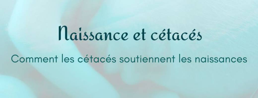 Naissance et Cétacés