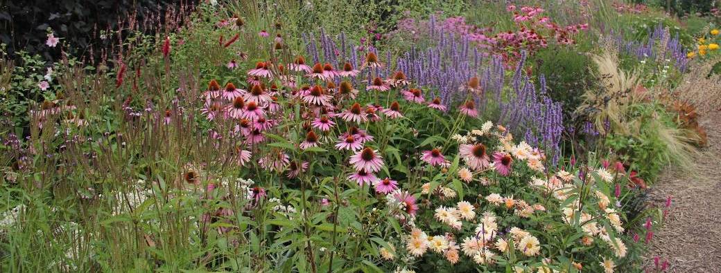 Naturalistische border