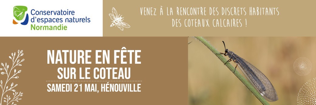 Nature en fête sur le coteau d'Hénouville