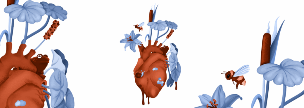 Nature et préjugés : convier l’humanité dans l’histoire naturelle