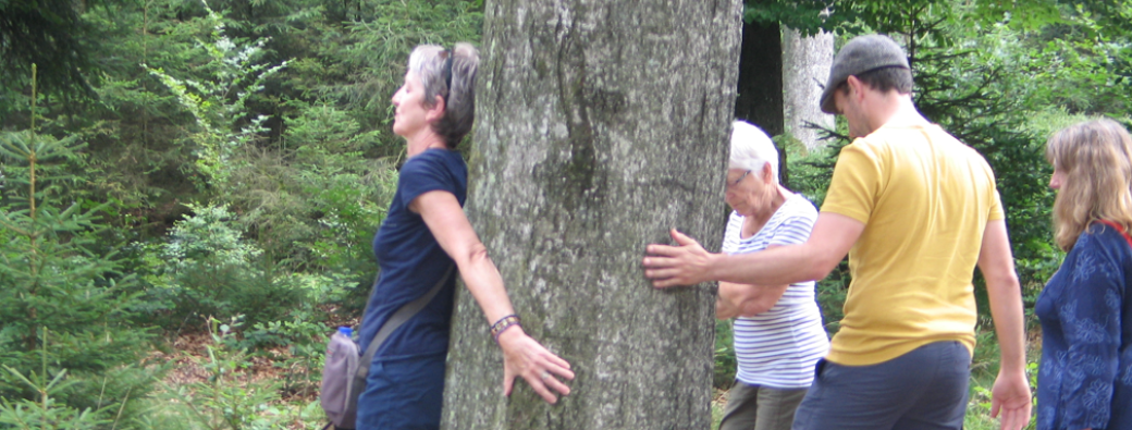 Nature et ressourcement