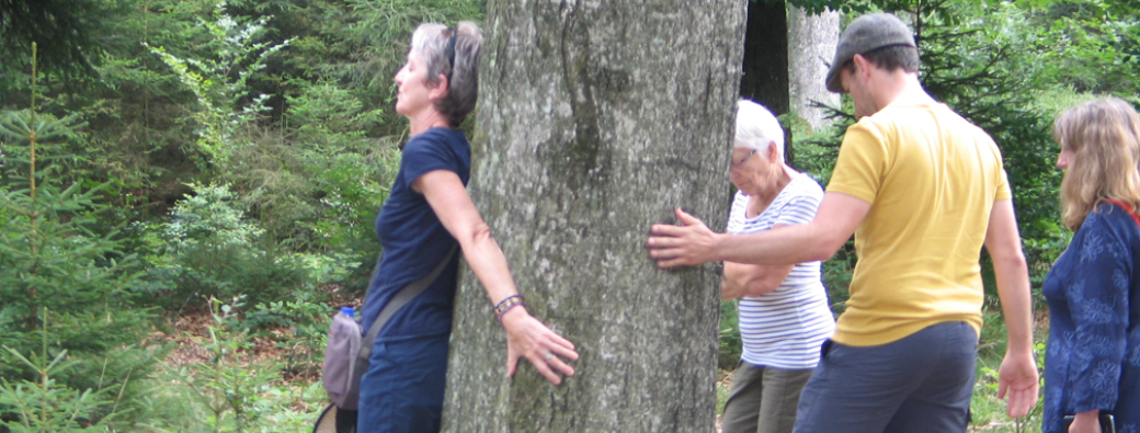 Nature et ressourcement