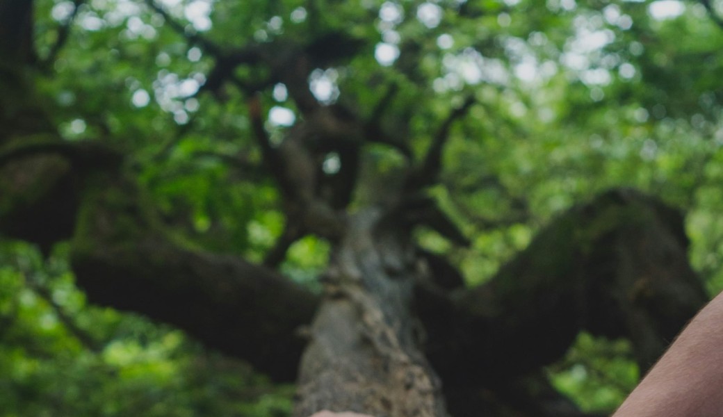 Nature sensible Nniv2