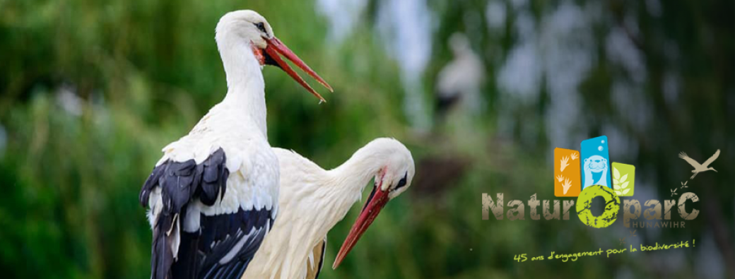 NaturOparC - Billetterie 2026