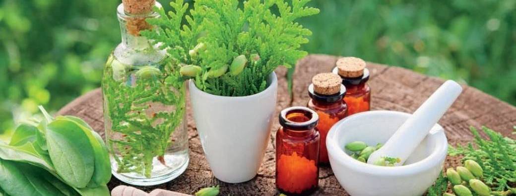 Naturopathie #3 - Accueullir le renouveau du printemps